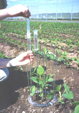 <sup>113</sup>Cd addition test