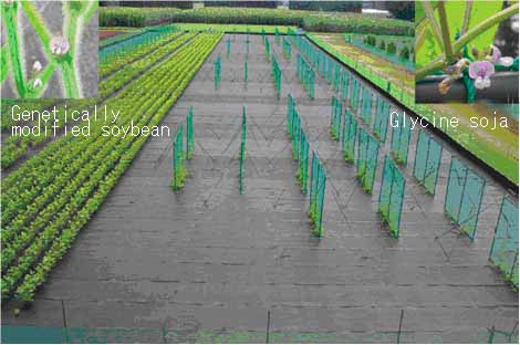 Experimental station