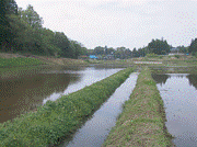 Irrigation water channel