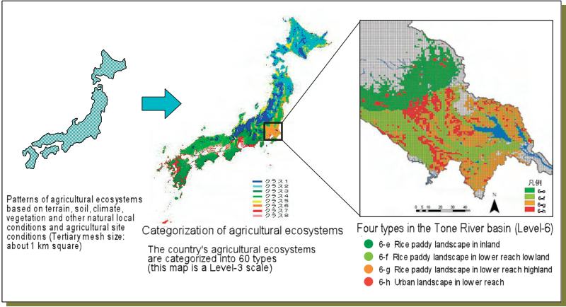 Distribution of agricultural ecosystems
