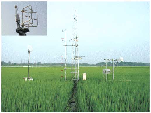 Monitoring at a rice paddy site