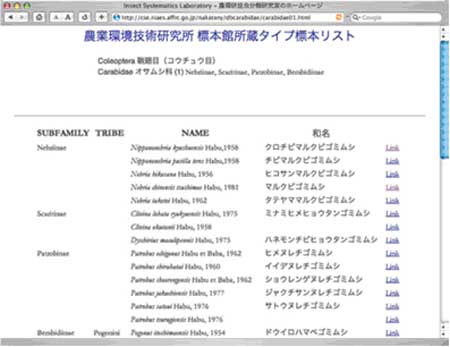 List of insect type specimens