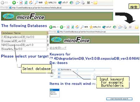 MicroForce