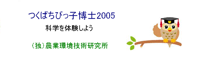 ΂тqm2005i_ƊZpj