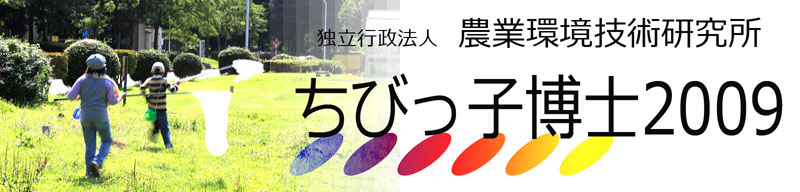 Ɨs@l,_ƊZp,тqm,QOOX