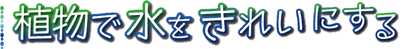 uAŐꂢɂv
