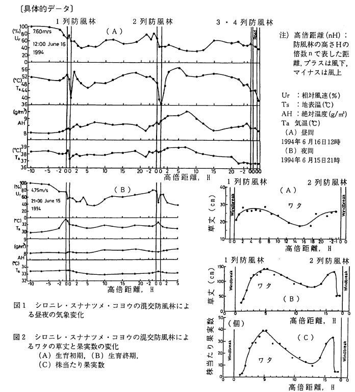 ��̓I�f�[�^