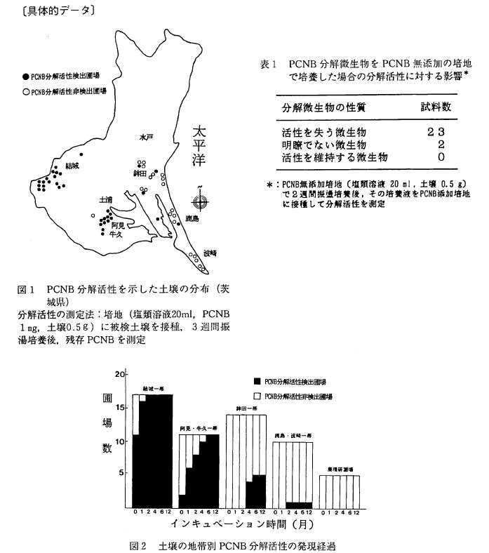 ��̓I�f�[�^