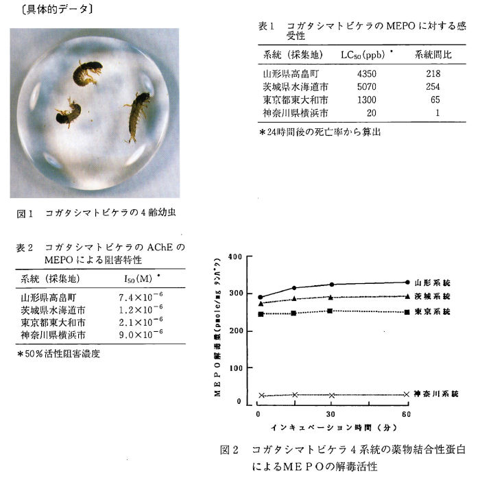 ��̓I�f�[�^