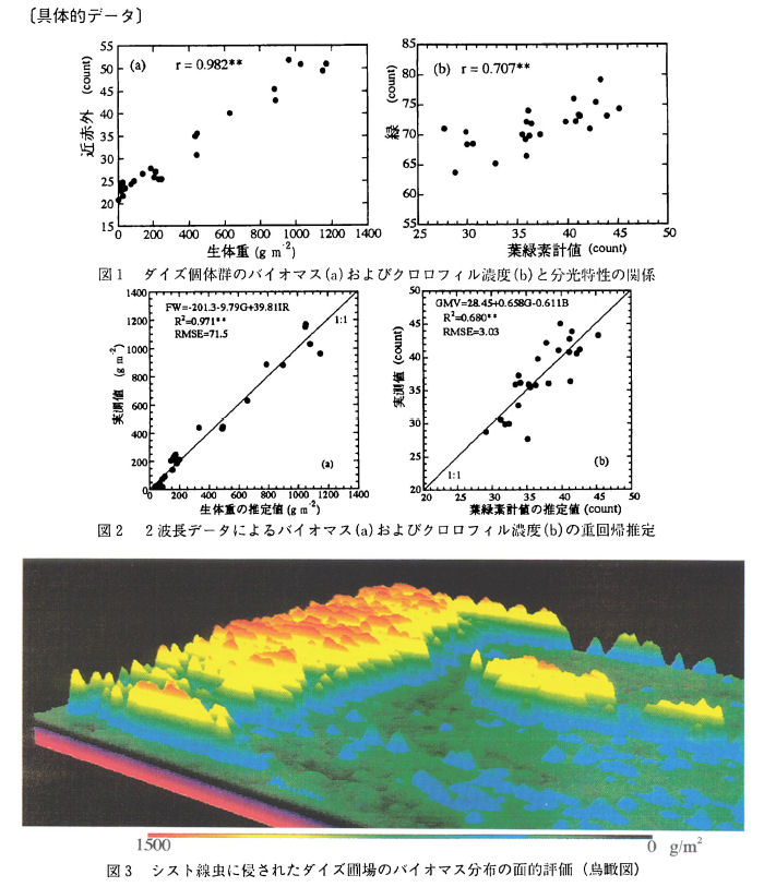 ��̓I�f�[�^