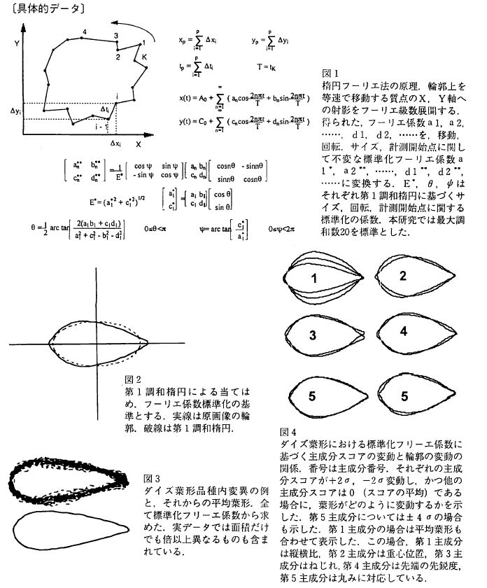 ��̓I�f�[�^