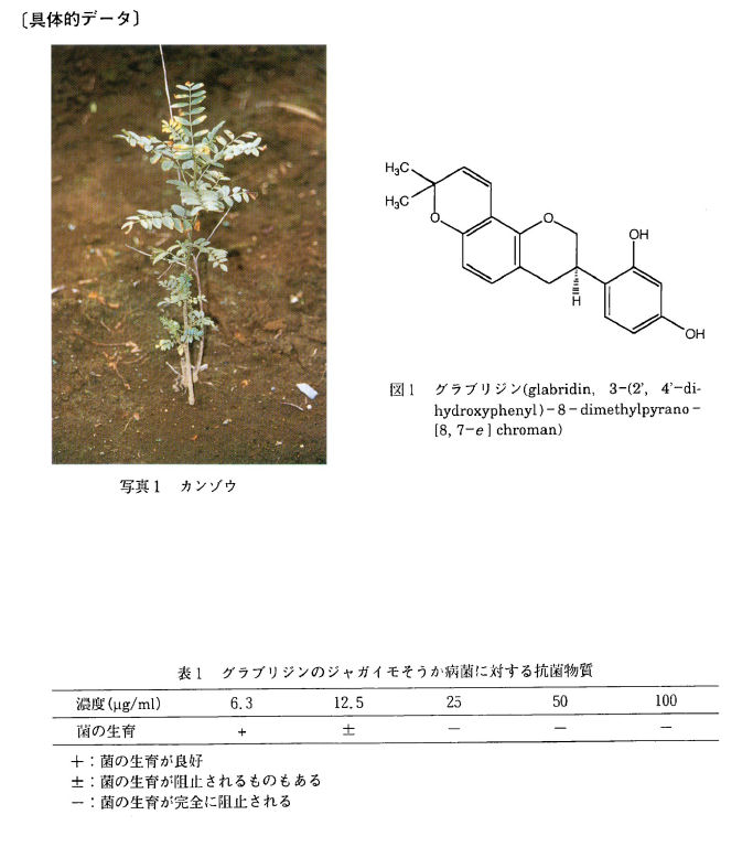 ��̓I�f�[�^