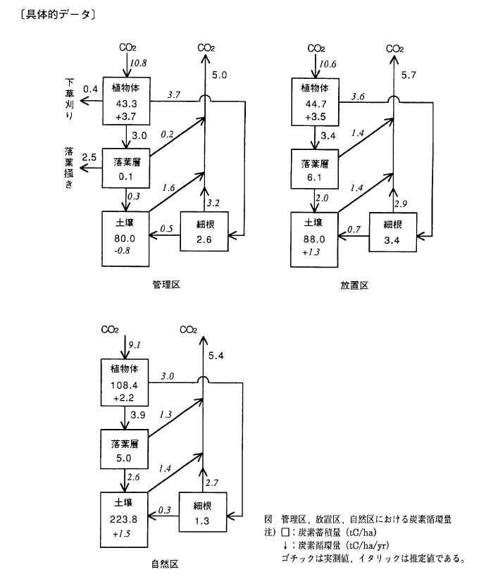 ��̓I�f�[�^