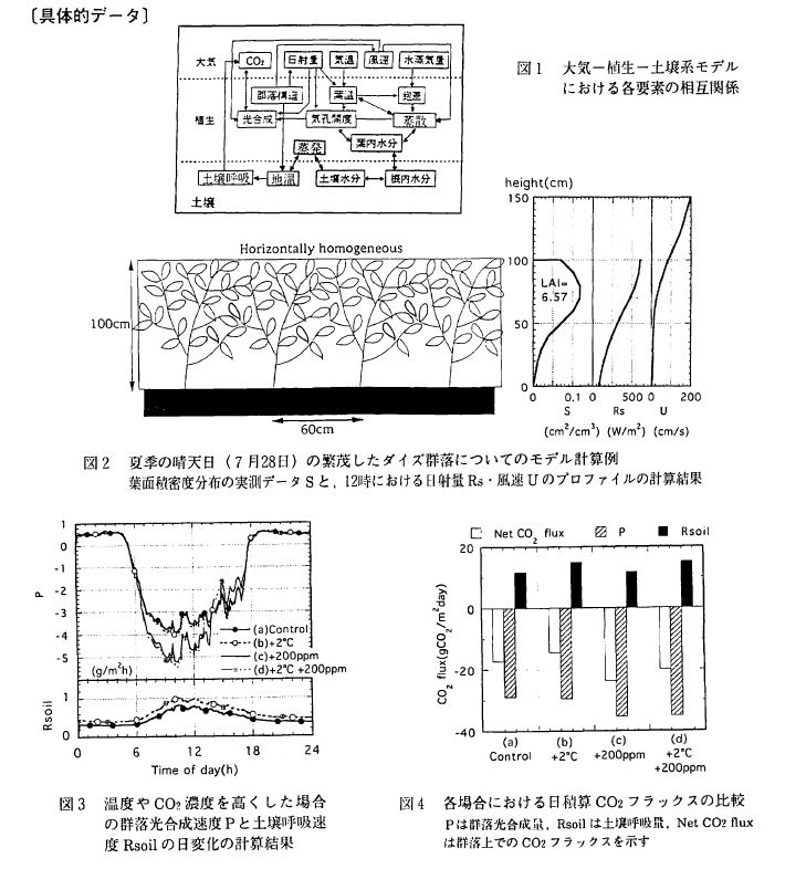 ��̓I�f�[�^