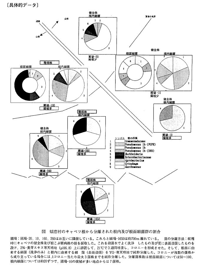具体的データ