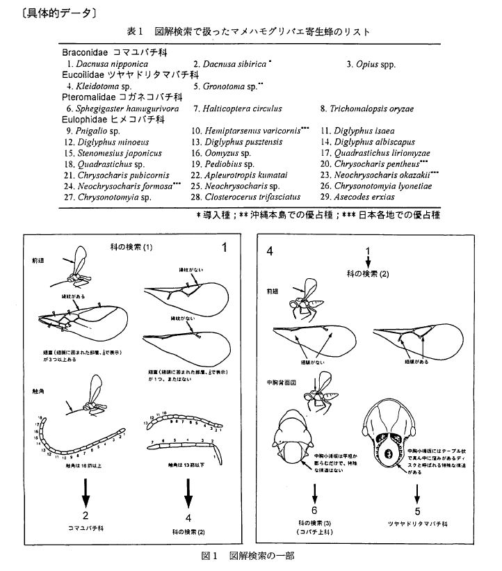 具体的データ