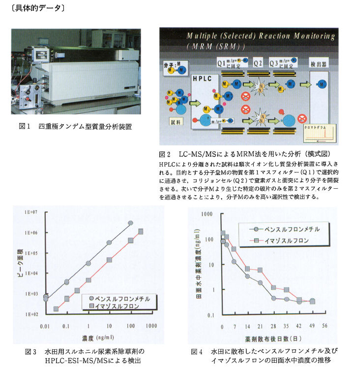 具体的データ