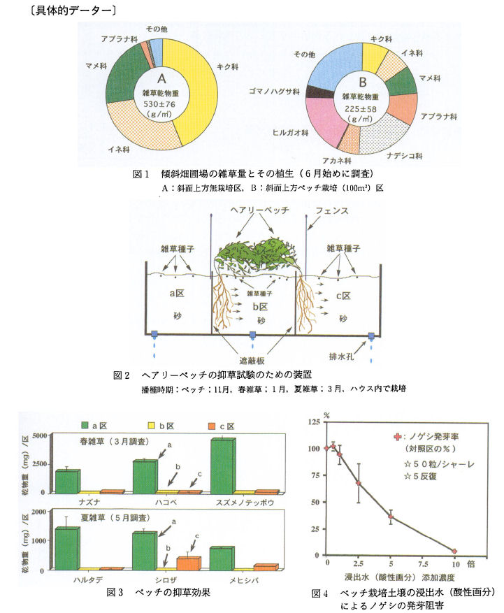 具体的データ