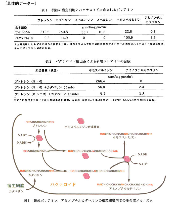 具体的データ