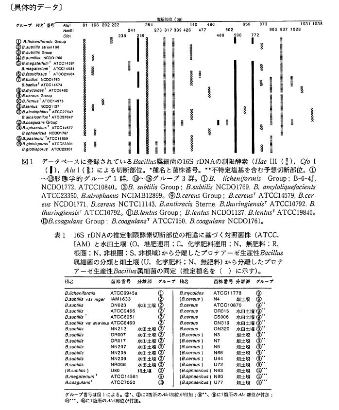 具体的データ