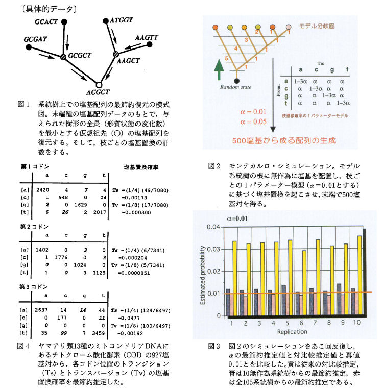 具体的データ