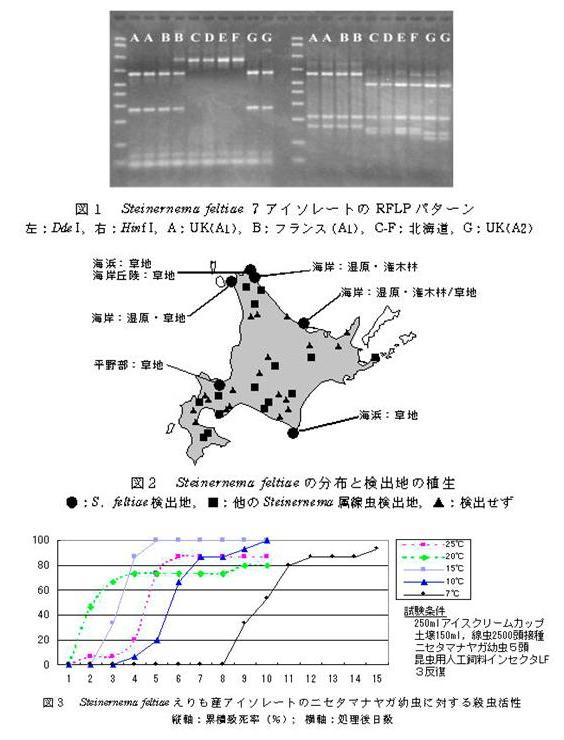 具体的データ