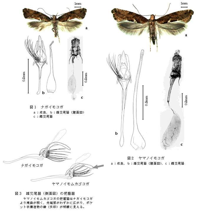 具体的データ