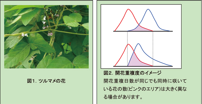 �}1�@�c���}���̉�/�}2�@�J�ԏd���x�̃C���[�W