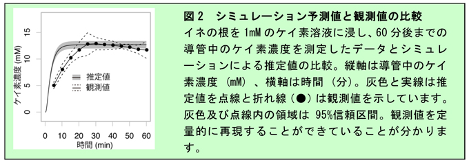 図2 シミュレーション予測値と観測値の比較