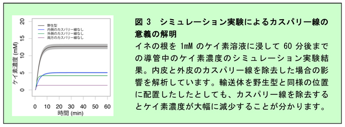 図3 シミュレーション実験によるカスパリ―線の意義の解明