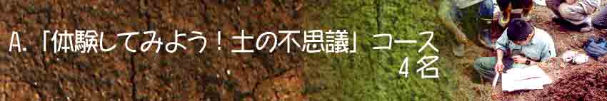 A.ǔĂ݂悤Iy̕svcvR[X4