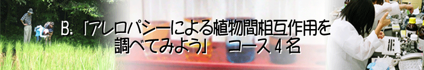 B.uApV[ɂAԑݍp𒲂ׂĂ݂悤vR[X4