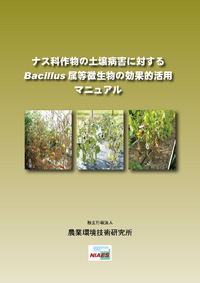 \C[WiiXȍ앨yaQɑ΂pj