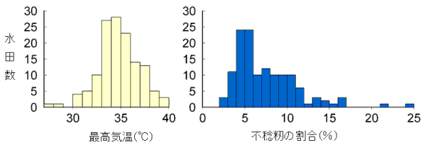 図１．調査水田における出穂・開花時期（５日間）の最高気温と不稔籾割合（頻度グラフ）