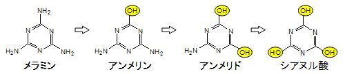 図３　ATD6株によるメラミンの分解代謝経路：「メラミン − アンメリン − アンメリド − シアヌル酸」の順に、３個のNH2 が OH に置き換わっていく