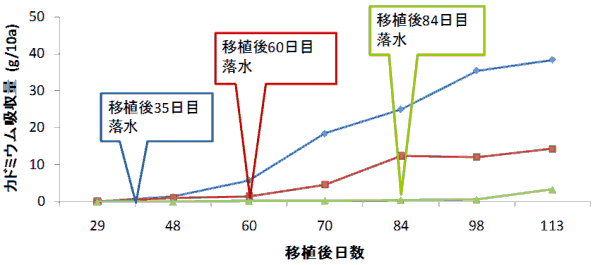}P ̈ႢɂJh~EzCliu[ṽJh~Ezʂ̌oωignō͔|j i܂OtjGJh~Ez(g/10a)͈ڐA35ŗƑA60Ŗ6A113Ŗ40BڐA60ڗ̏ꍇ́A60ł1A11315xAڐA84ڗł84܂0A981A1134B