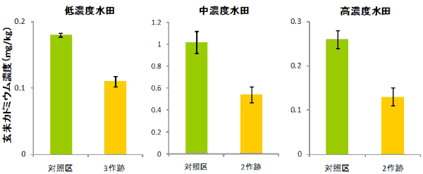 図３ カドミウム高吸収イネ栽培跡地に栽培した食用イネ玄米のカドミウム濃度（対照区との比較） （グラフ）；食用イネ玄米のカドミウム濃度は、低濃度水田：対照区約0.18(mg/kg)が3作跡で0.11に、中濃度水田：対照区約1.0が2作跡で約0.5に、高濃度水田：対照区約0.26が2作跡で0.13に、それぞれ低下。