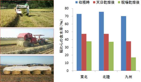 }S ݁E番ʎnEꊣ̗lqƂ̐ܗʂ̕ω iʐ^ƃOtjGʐ^F݂n𐅓cɕu^[ɂĎn^cɒuꂽ烍[AOtFn̂̐70`80%AԂ̓Vɂ͖50%(k,k),40%(B)AɌŊ40%(k,k),20%(B)܂Ō