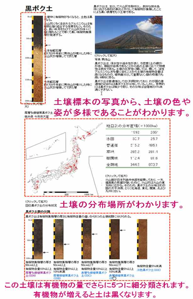 「詳細表示」ページ： 日本の農耕地で特徴的な「黒ボク土」の断面の写真と詳細な解説、全国的な分布地域など。黒ボク土はおもに火山灰を母材とし、排水がよい条件で母材の風化とともに有機物が集積するため、表層が黒くなる。