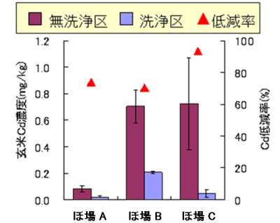 玄米カドミウム濃度の低減効果（グラフ）：ほ場Ａ／ほ場Ｂ／ほ場Ｃでの玄米カドミウム濃度は７０〜９０％低下
