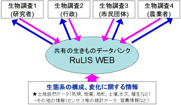 Ԍn̍\AωɊւFynRf[^iCAnAn`AyAAAȂǁjAZTX̓vf[^Ac_Ȃ || L̐f[^oN RuLIS WEB@|||@iҁjEisjEisćjEi_ƎҁjGi}j