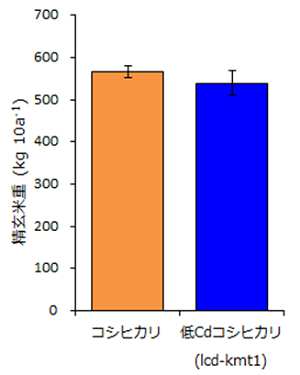 ʁiďdjikg/10aj^RVqJF 560 ^CdRVqJilcd-kmt1jF 540 iLӂȍ͂ȂjiOtj