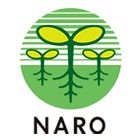 NARO