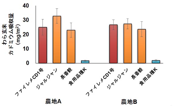 Q̃Jh~E_nɂ+Ăւ̃Jh~EzʁFziit@CCD1AWWAj́AǂA1[g2030 mgAHpiḰA2 mg xipxOtj