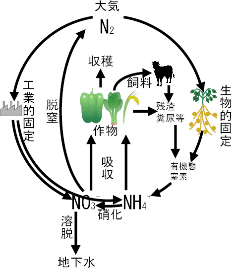 �_�Ƃ����钂�f�T�C�N��