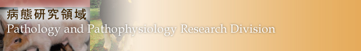 07:病態研究領域
