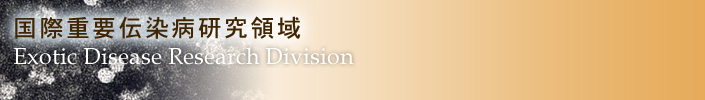 10:国際重要伝染病研究領域