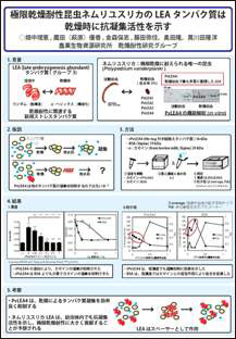 極限環境生物学会ポスター賞ポスター