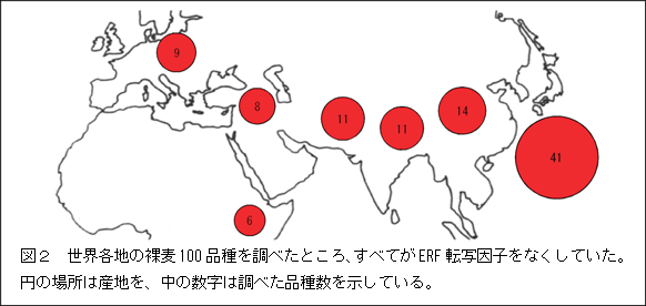 }Q@100i̒