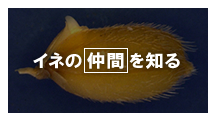 Cl̒Ԃm